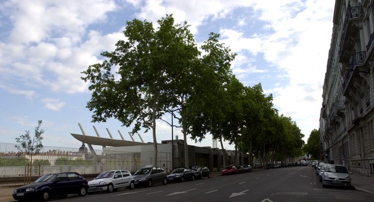 Piscine du Rhône, Centre nautique actuellement centre nautique Tony-Bertrand