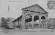 Halle