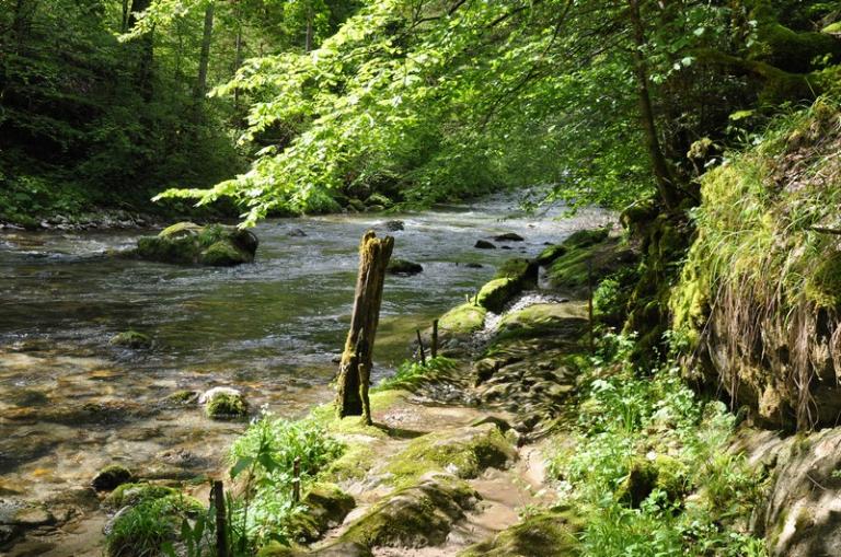 Paysage du bassin-versant du Chéran