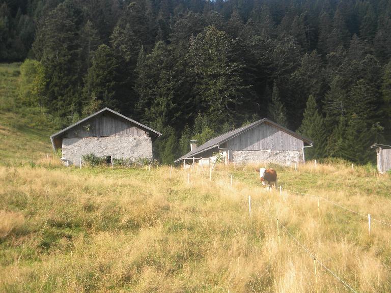 Chalets de l'Alpettaz (Marthod)