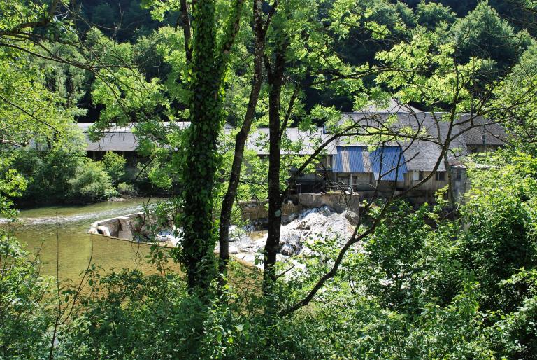 scierie puis scierie, moulin, battoir à chanvre, actuellement scierie et micro-centrale hydroélectrique