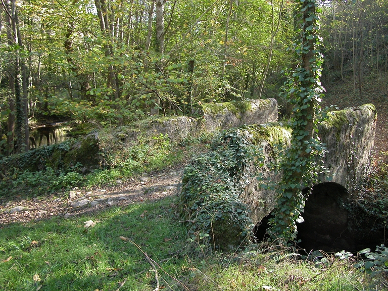 Présentation de la commune d'Essertines-en-Châtelneuf
