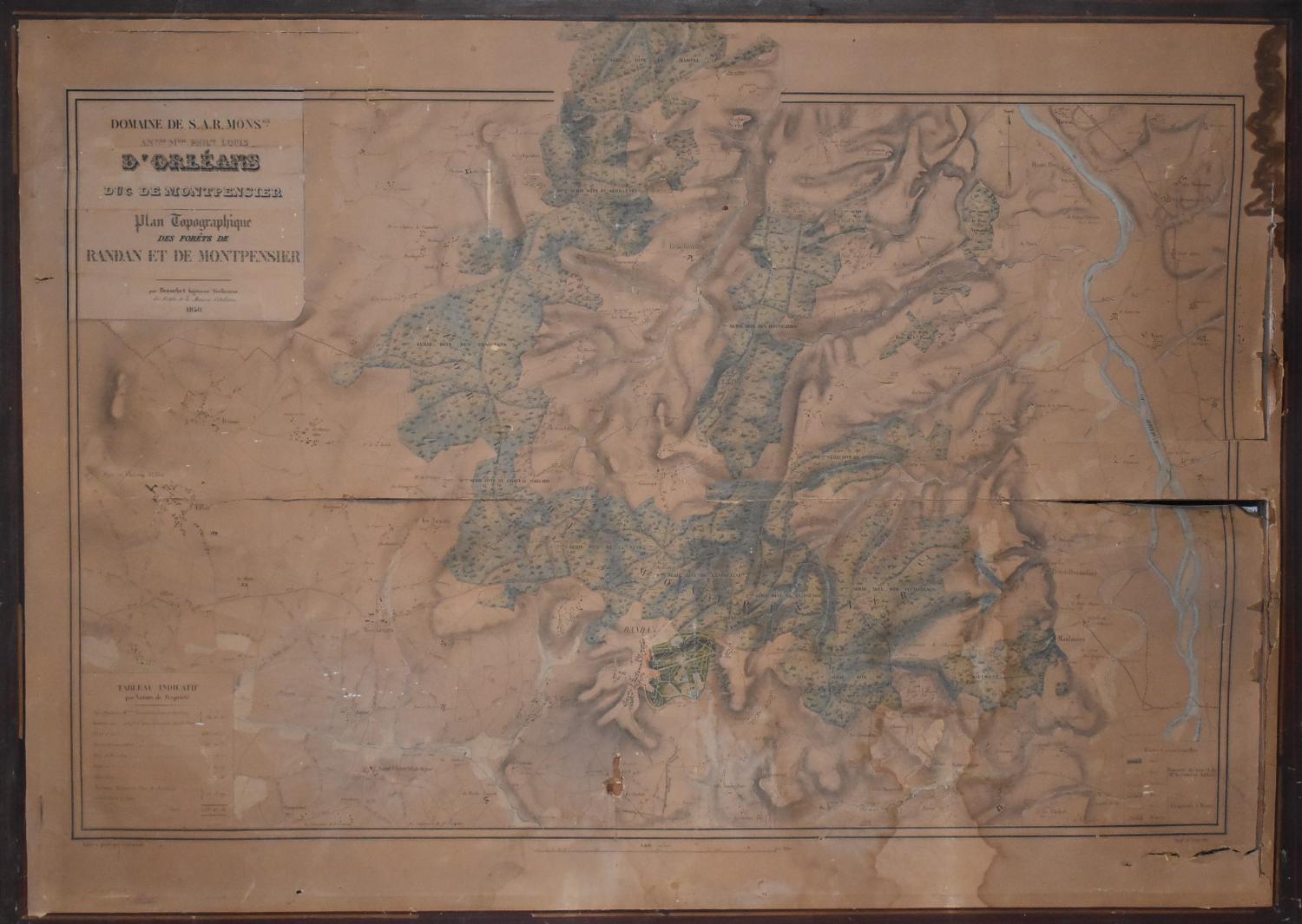 Plan topographique des forêts de Randan et Montpensier (1850)