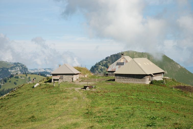 Le pastoralisme dans le Parc naturel régional du Massif des Bauges