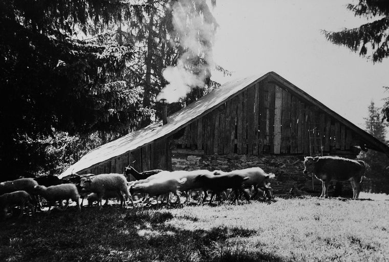 Station de sports d'hiver dite Courchevel 1850