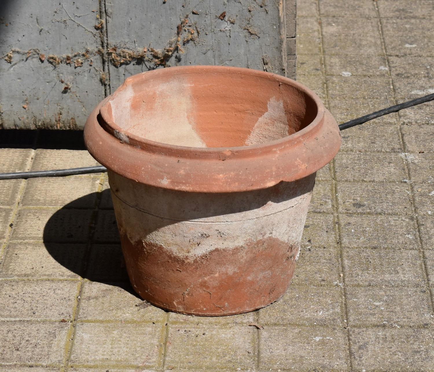 Pot n°5 d'un ensemble de 12 pots à plantes de taille 8