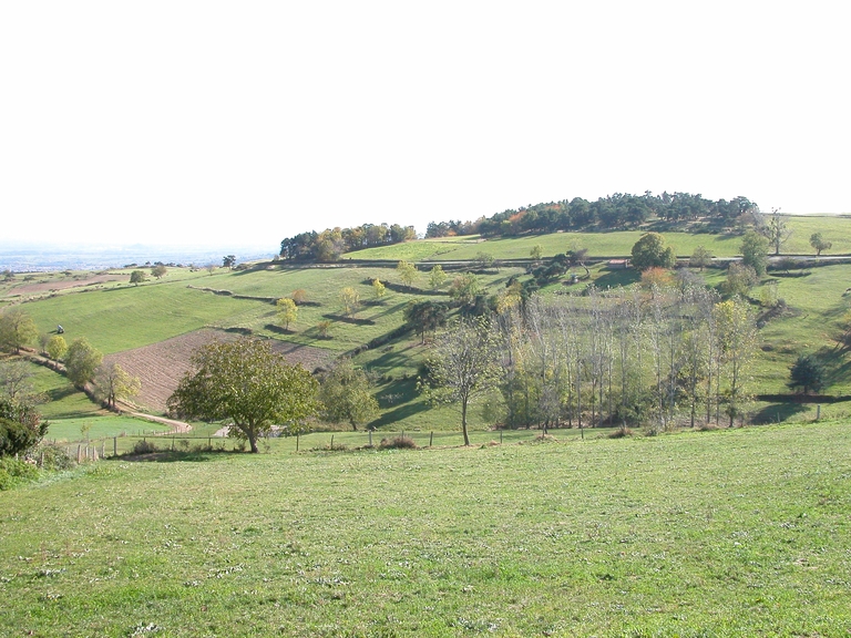 Présentation de la commune d'Essertines-en-Châtelneuf