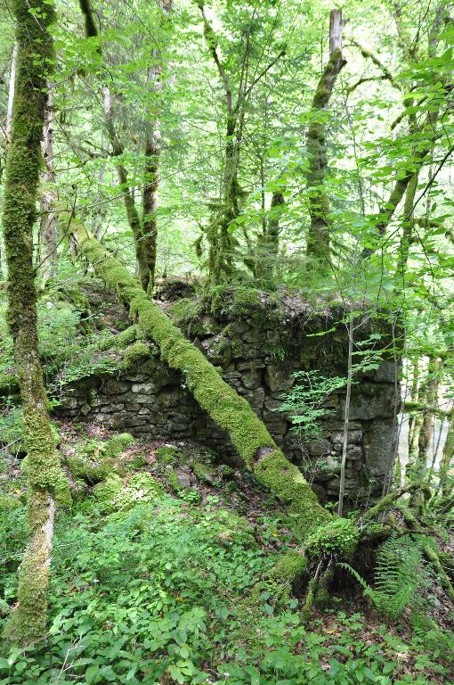 Moulin à farine et battoir Ducret actuellement vestiges