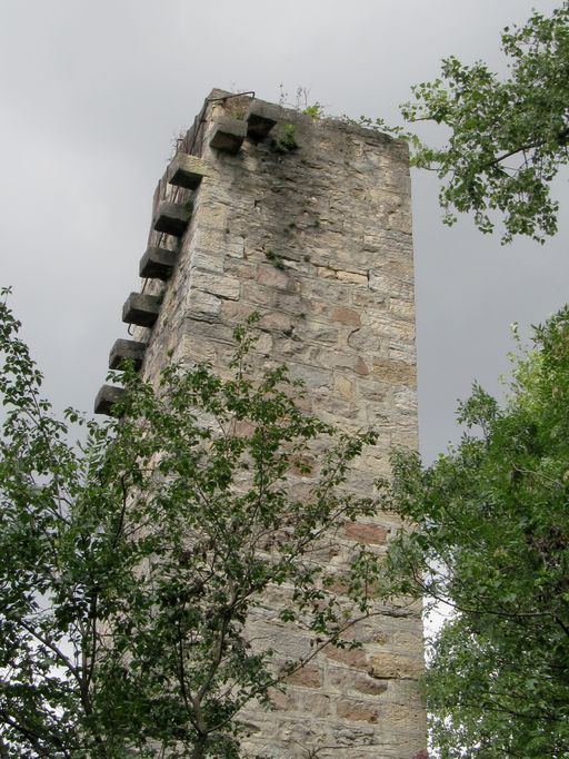 Bac à traille d'Irigny dit bac de Célette ou de Sellettes (disparu) ; piles (vestiges)