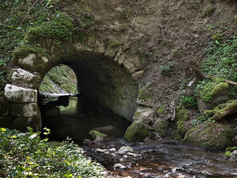 Pont de la Forêt, dit pont romain