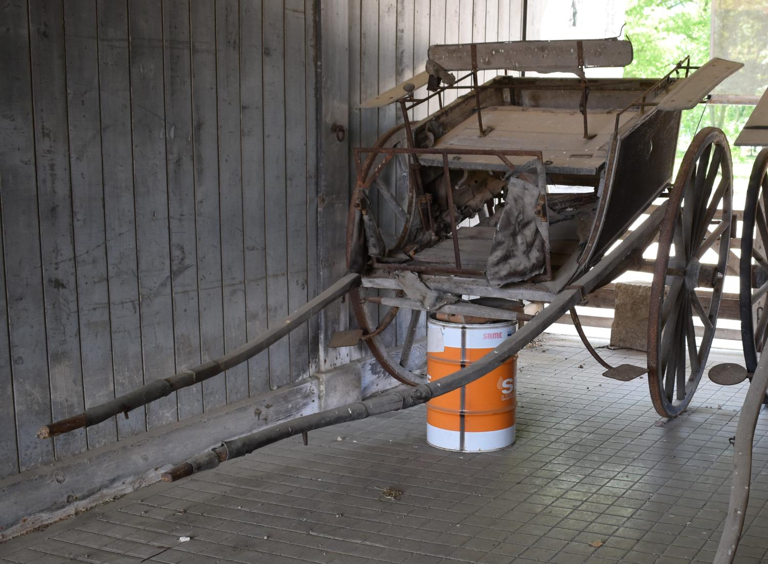 véhicule à énergie animale pour le transport des personnes : charrette