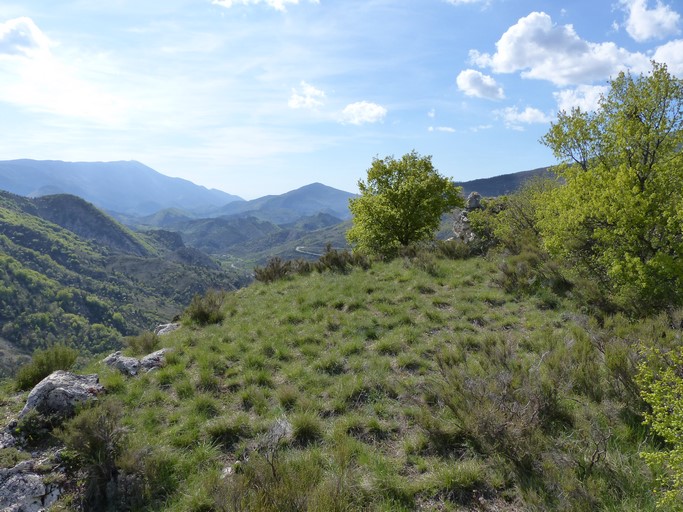 Site castral de Barret-de-Lioure. Plate-forme orientale, vue prise du nord-est.