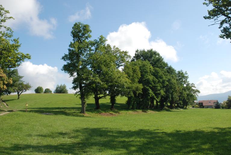 Présentation de la commune de Héry-sur-Alby