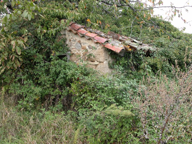 Cabane de vigneron, dite loge de vigne