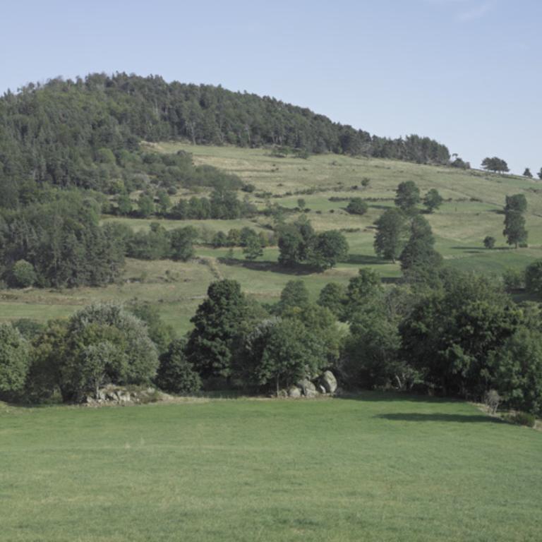 Présentation de la commune d'Essertines-en-Châtelneuf