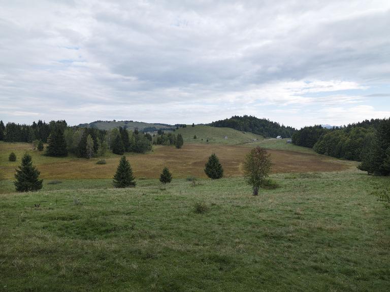 L'alpage des Creusates (Saint-François-de-Sales), pâturé depuis l'âge du Bronze.