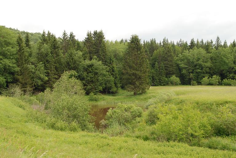 Les alpages de la montagne de Bange (Arith)