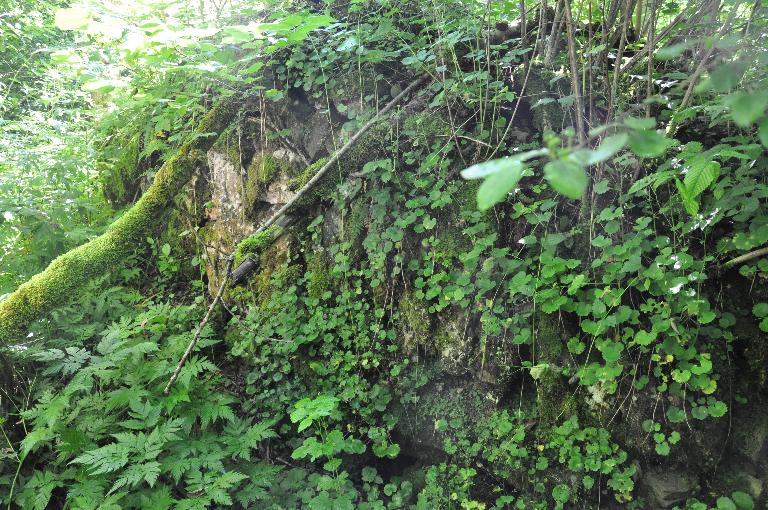 Moulin à farine Tournassat dit moulin de la Bottière actuellement vestiges