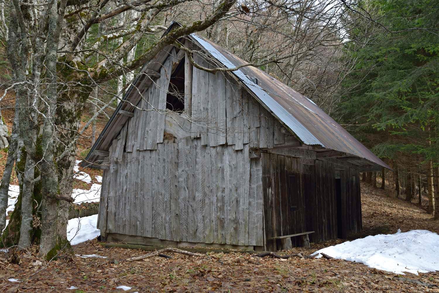 Le pastoralisme dans le Parc naturel régional du Massif des Bauges