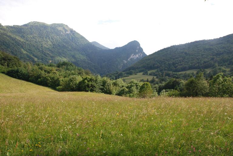 Les alpages du col du Molard au col des Prés, sous la pointe de la Galoppaz (Thoiry et Aillon-le-Jeune).