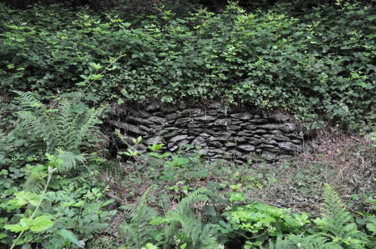 Moulin à farine, foulon et battoir du Jubilé actuellement détruit et vestiges