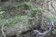 Moulin à farine et scierie du Creux actuellement vestiges