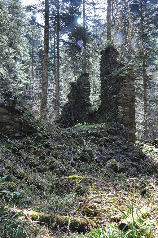 Fonderie et forges puis scierie de la Chartreuse de Saint-Hugon actuellement vestiges