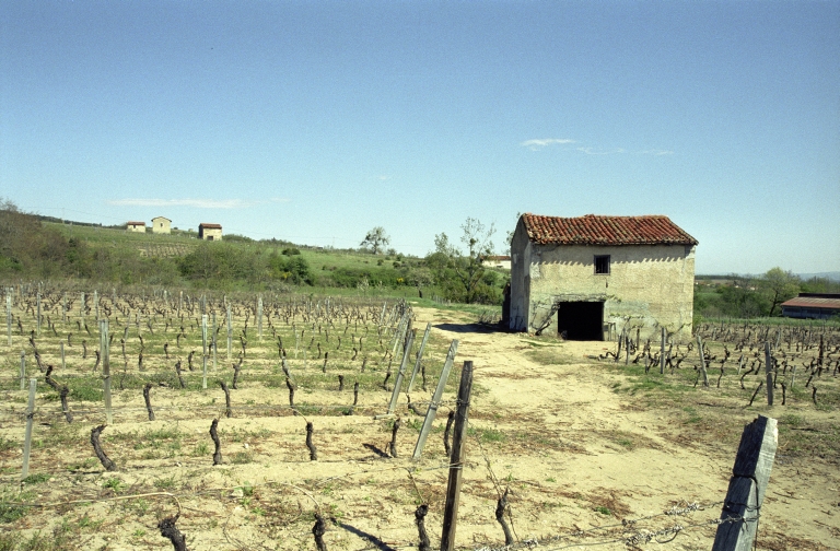 Les cabanes de vigne, dites loges de vigne, du canton de Boën et de la commune de Sail-sous-Couzan