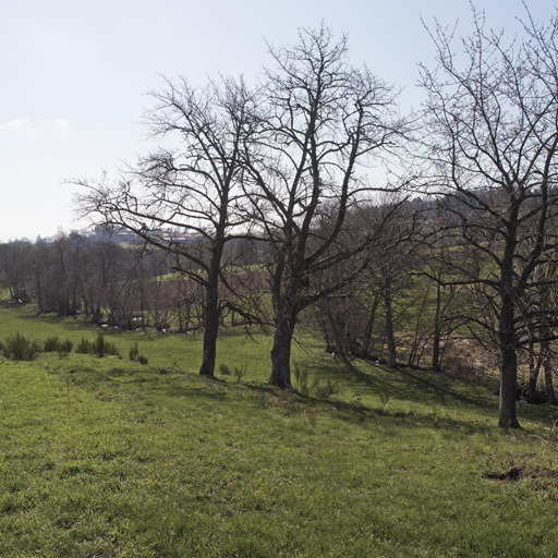 Présentation de la commune d'Essertines-en-Châtelneuf