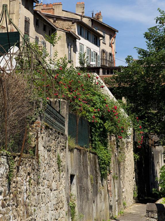 Jardins suspendus, rue des Murailles.