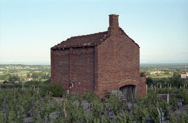 Les cabanes de vigne, dites loges de vigne, du canton de Boën et de la commune de Sail-sous-Couzan