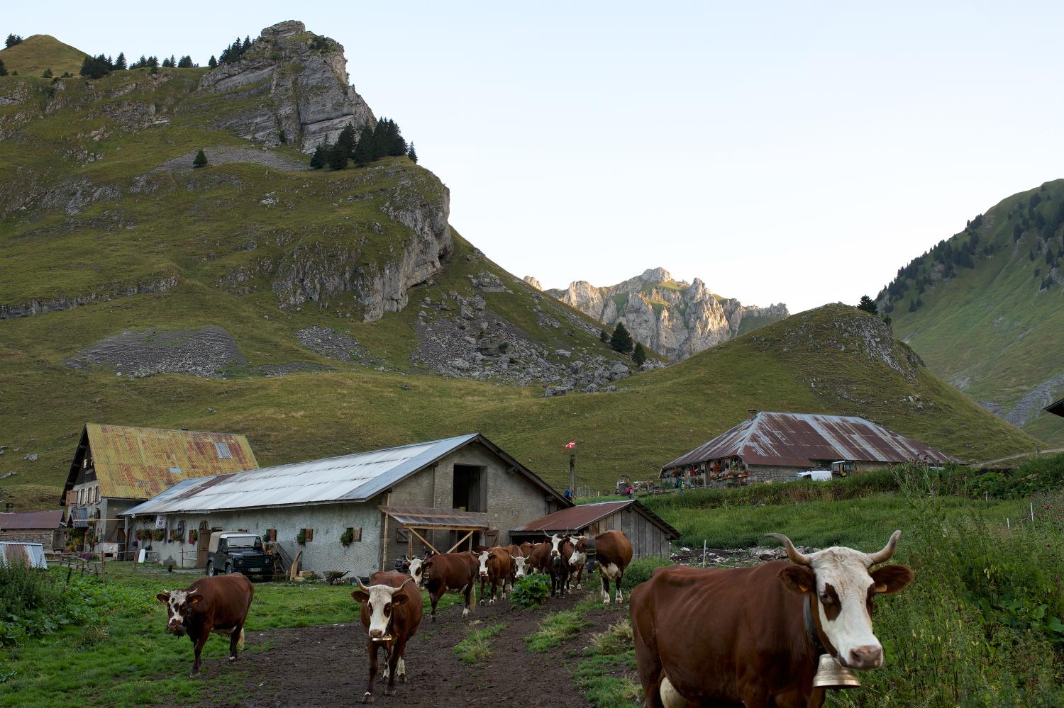 Chalet refuge de Bise