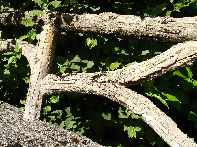 Jardin d'agrément