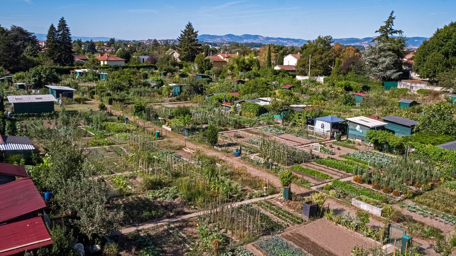 Jardins ouvriers dit familiaux de Saint-Foy-lès-Lyon, deux sites : jardins du fort