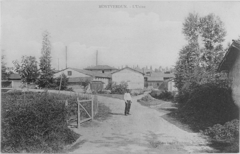 Clouterie, Papeteries de Montverdun, puis Papeterie du Forez (usine de papeterie et cartonnerie), puis usine de construction mécanique, puis usine de transformation des métaux, actuellement Forges du Lignon