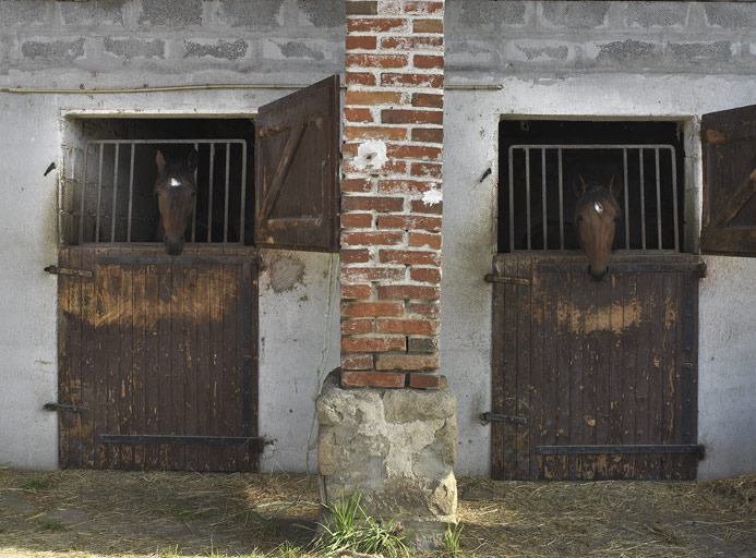 Ferme, puis élevage de chevaux de course