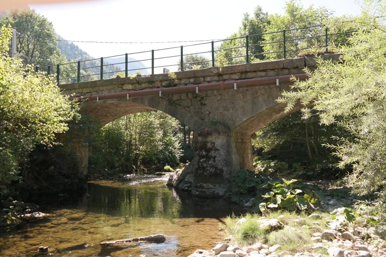 Pont des Doubines