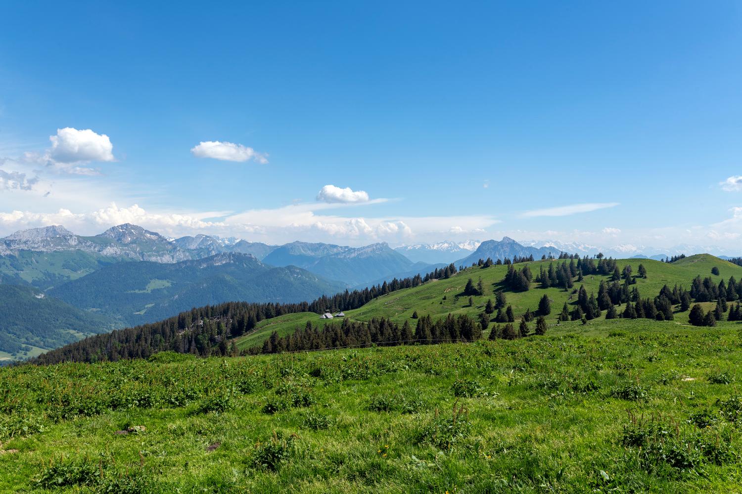 Chalets des Vernettes