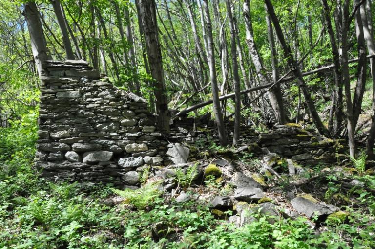 Moulins à farine de la Mouche actuellement vestiges