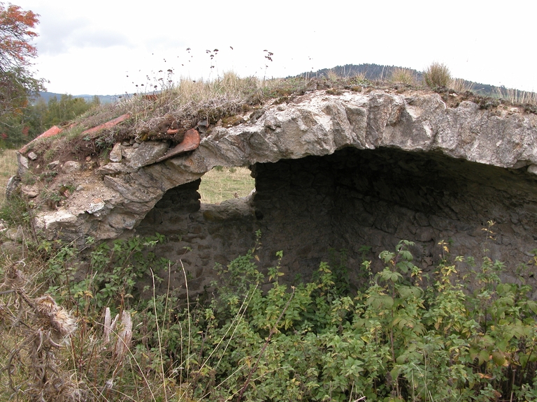 Ferme d'estive, dite jasserie