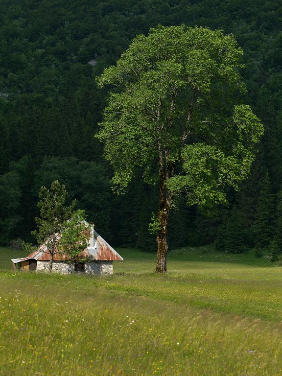 Chalet d'alpage