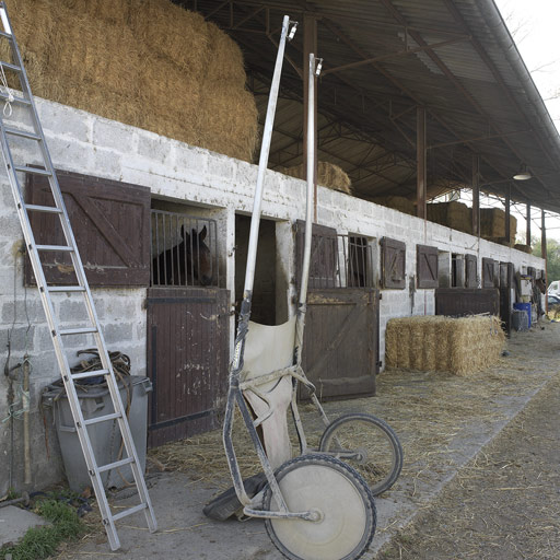 Ferme, puis élevage de chevaux de course